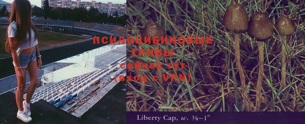 mdpv Алексин