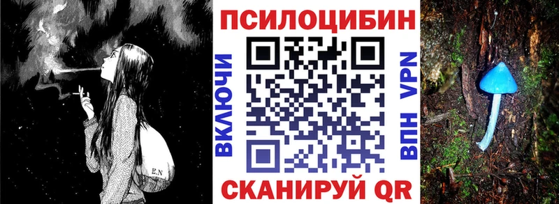 Псилоцибиновые грибы Psilocybe  Усинск 